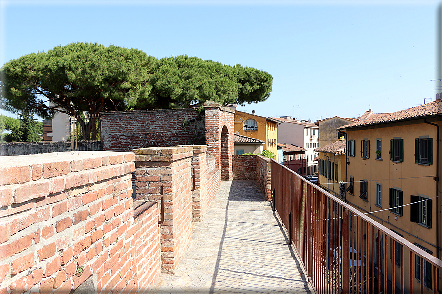 foto Camminamento delle mura di Pisa